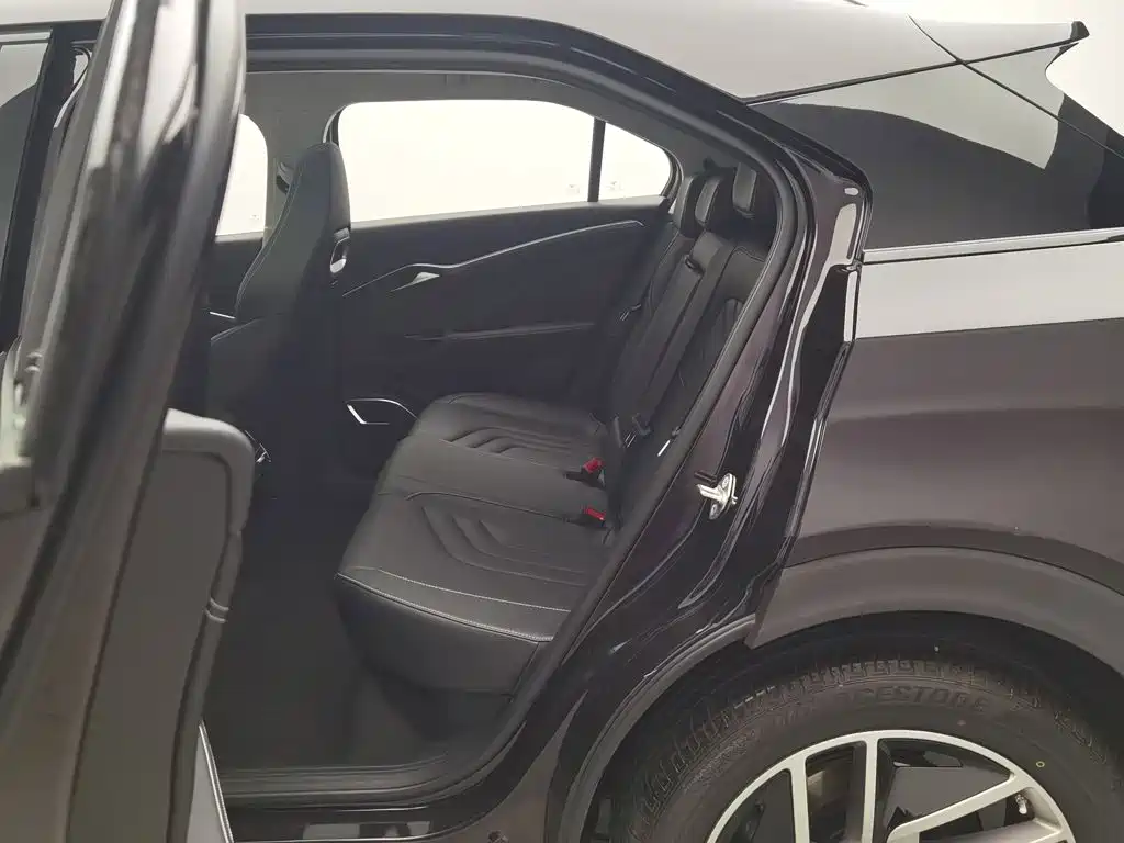 Nezha Auto Neta U 2022 2021 Pro 500 Lunar Edition