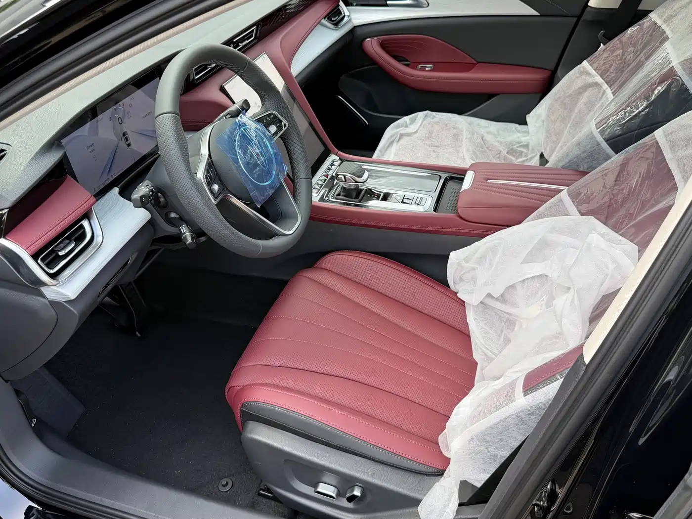 Hongqi H5 2025 2.0T Automatic Flag Celebration 500,000 Units Anniversary Edition фото 6