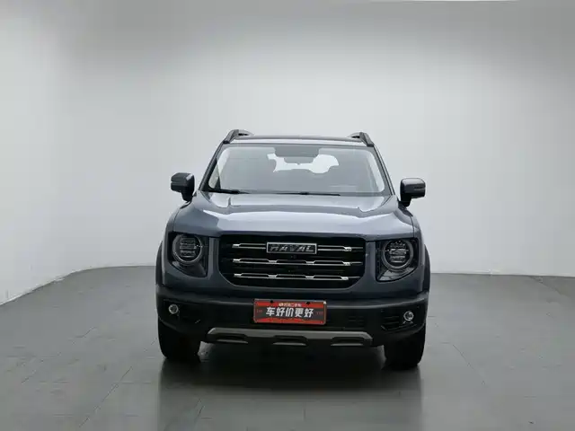 Haval Big Dog 2022 1.5T DCT FWD Labrador Edition — фото 3