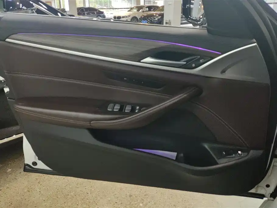 BMW 5 Series New Energy 2019 530Le Luxury Package фото 7