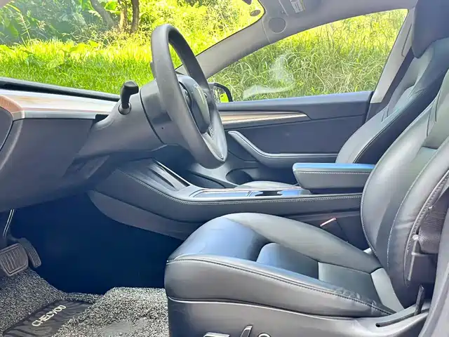 Tesla Model 3 2021 Standard Range Rear-Wheel Drive Upgrade — фото 4