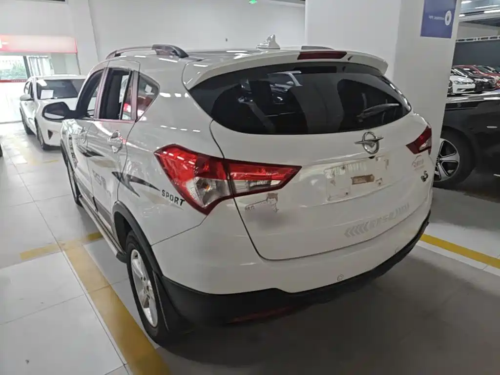 صورة 5 - Haima S5