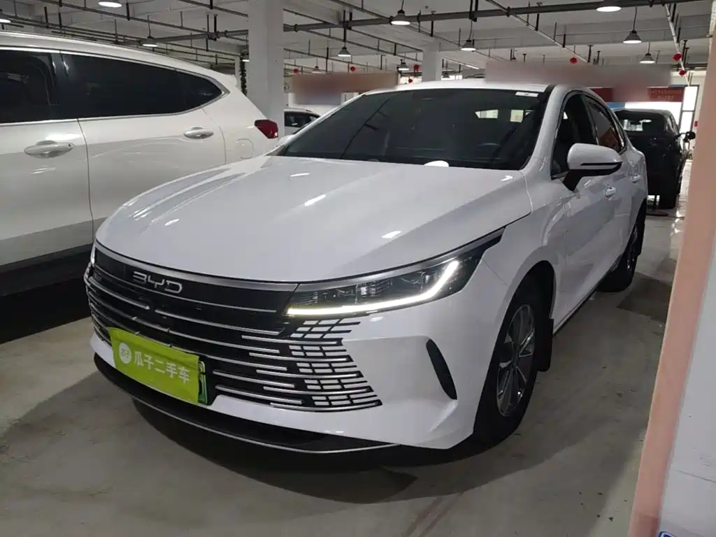BYD Destroyer 05 2025 — пригон из Китая