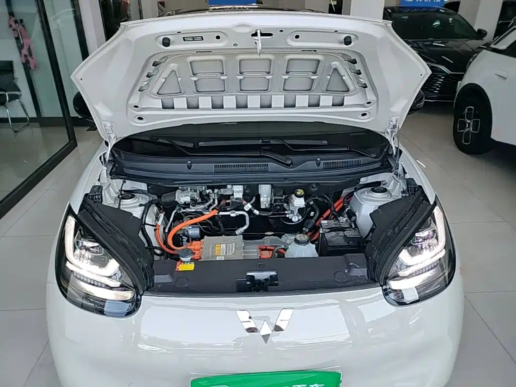 Wuling Motors Wuling Bingo 2026 2025 Model 333km Joy Edition