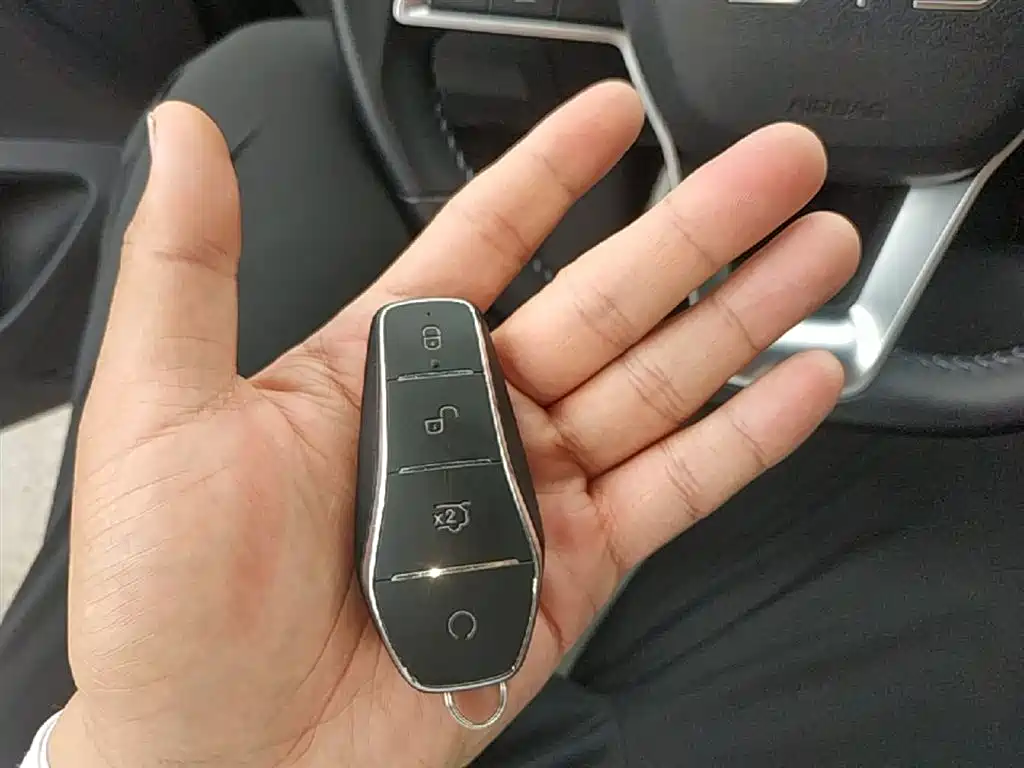 BYD Destroyer 05 2024 Glory Edition DM-i 55KM Luxury фото 9