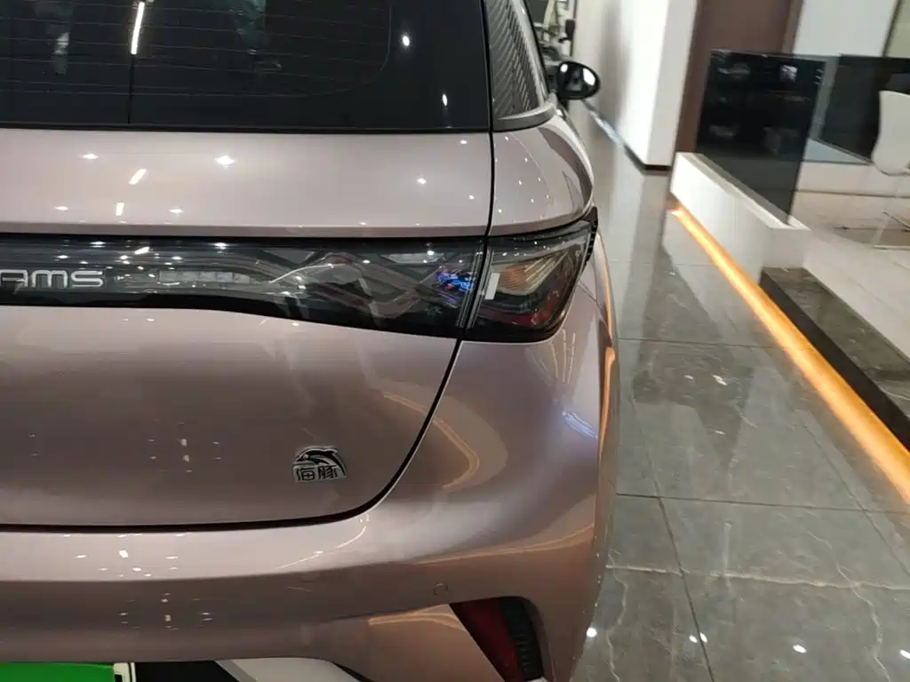 BYD Dolphin 2022 2021 Model 405km Fashion Edition
