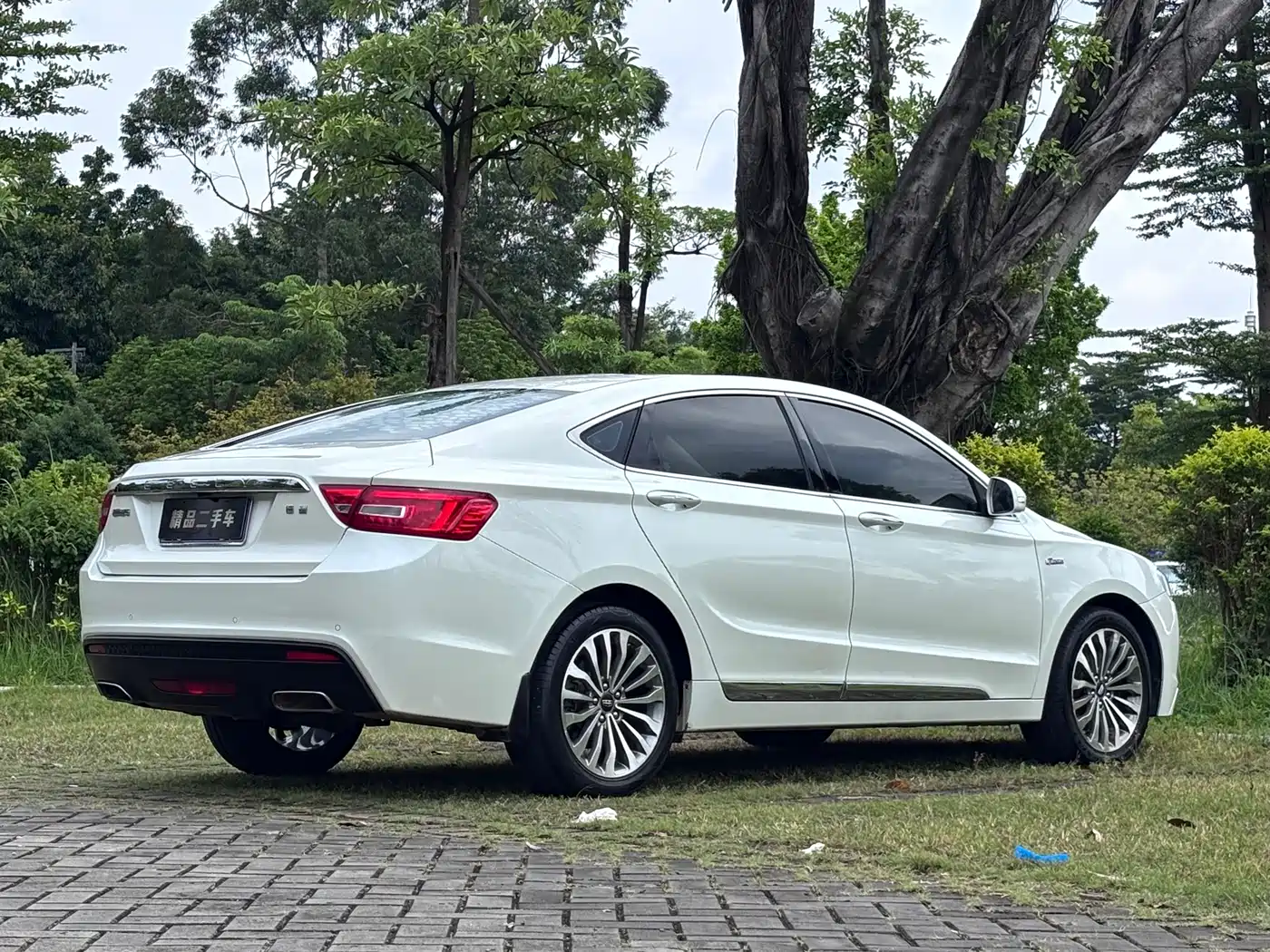 Фото 5 - Geely Borui