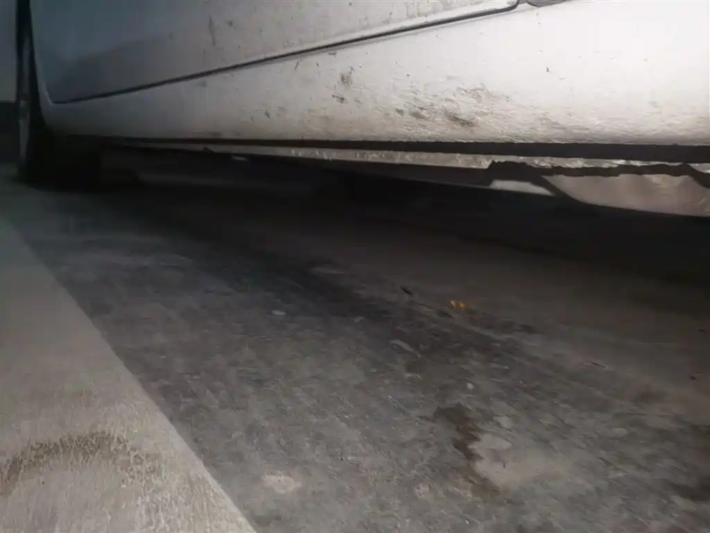 Chevrolet Malibu XL 2018 530T Auto RuiYi Edition фото 16