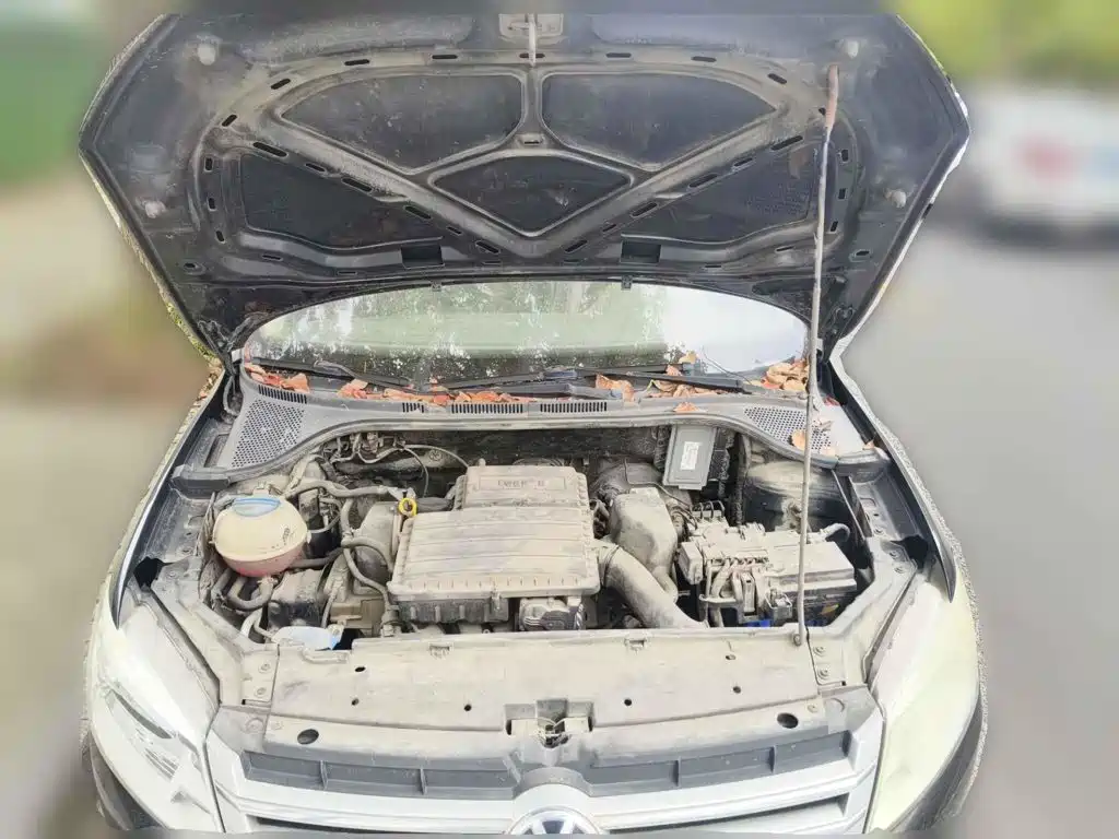 صورة 9 - Volkswagen Santana