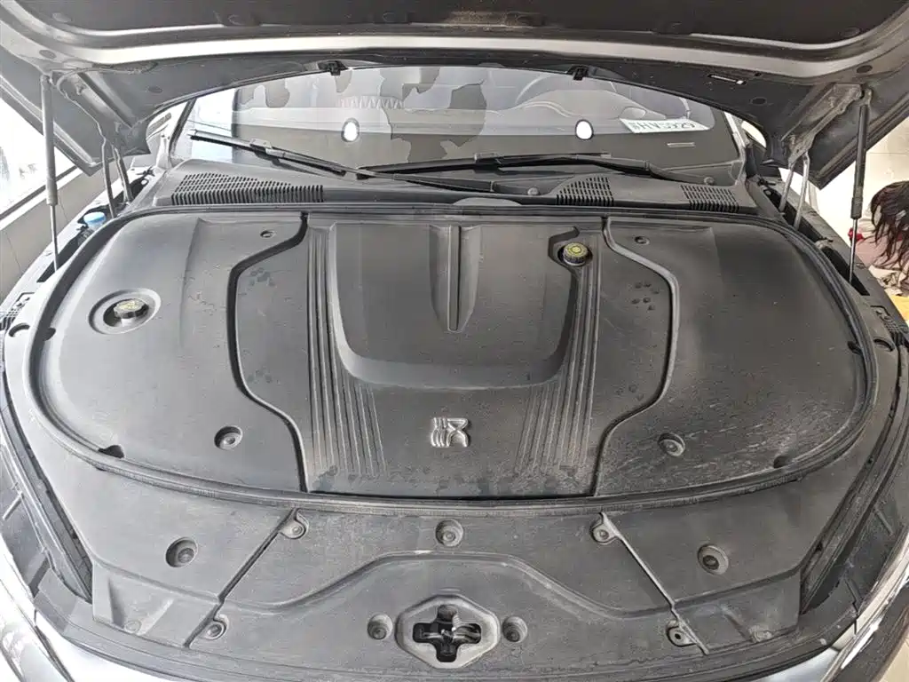 BYD Han 2020 EV Extended Range Premium фото 16