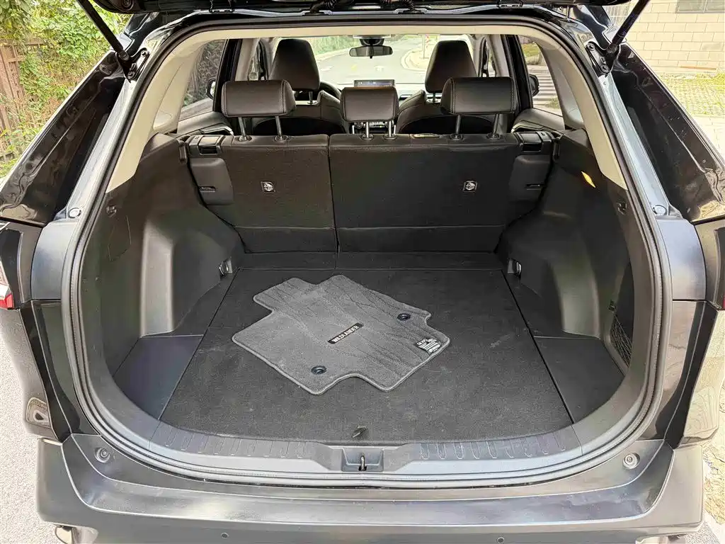Toyota Wildlander 2020 2.0L CVT 2WD Luxury Edition фото 10