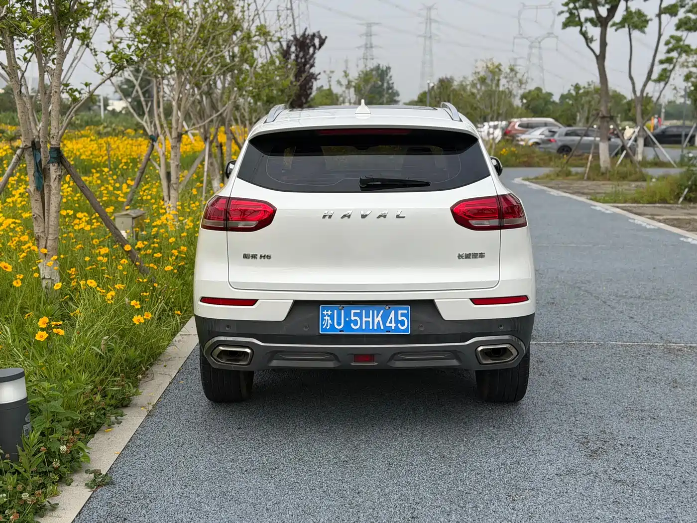 Haval H6 2020 1.5GDIT Automatic Platinum Champion Edition фото 11