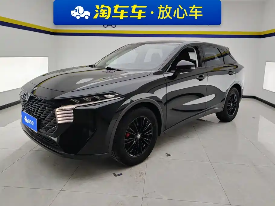 2023 Venucia Big V