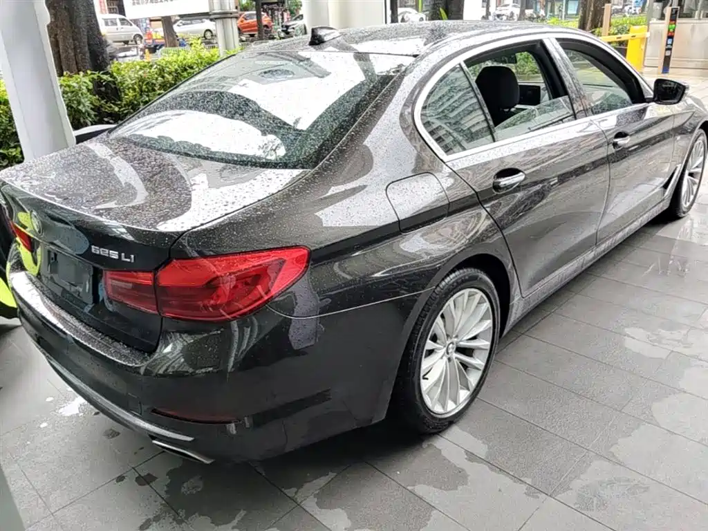 BMW 5 Series 2018 525Li M Sport Package фото 12