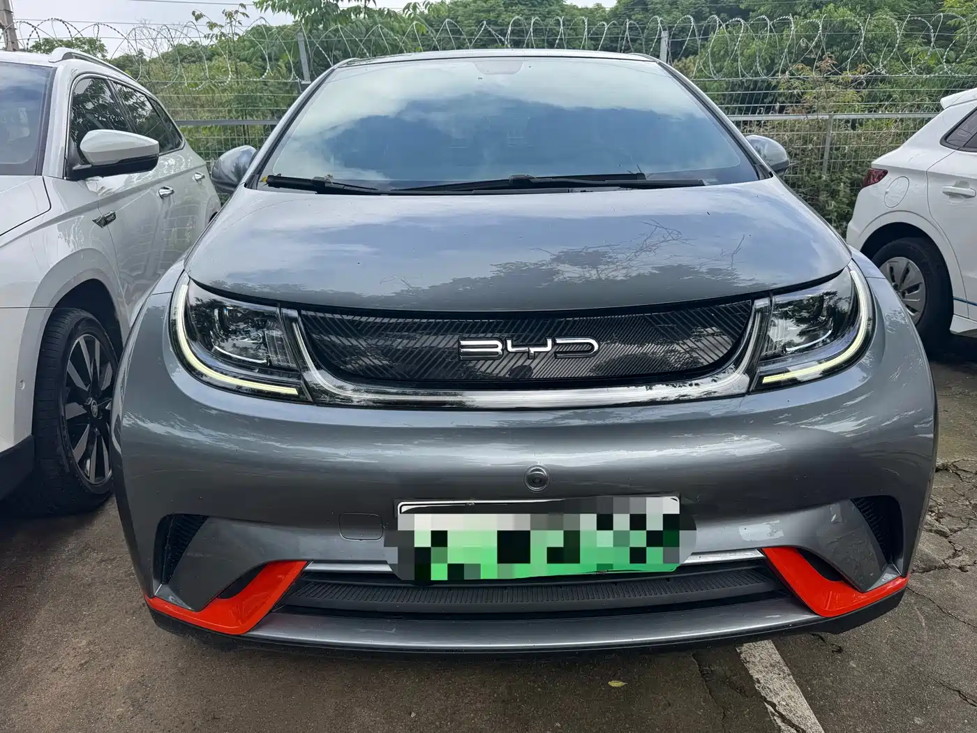 BYD Dolphin 2021 Model 405km Fashion Edition фото 2