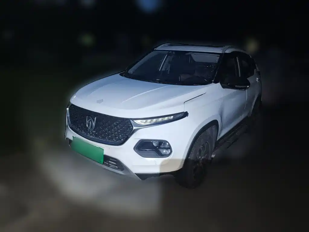 Photo 1 - Baojun 510