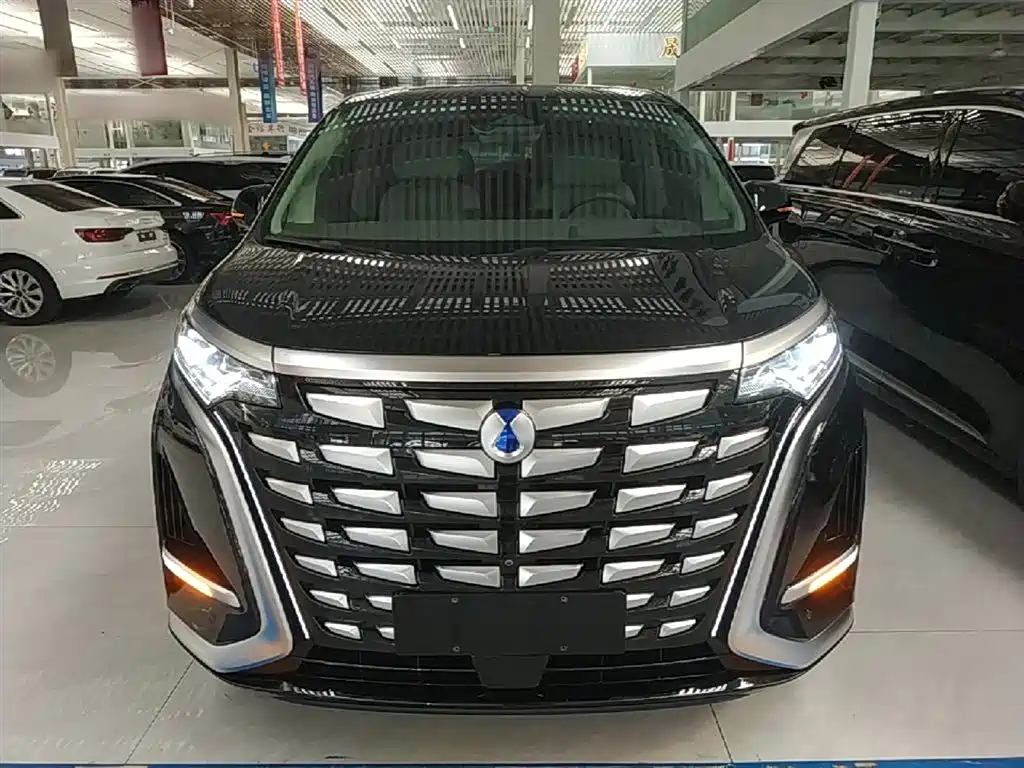 Denza D9 2022 DM-i 970 AWD Flagship фото 3