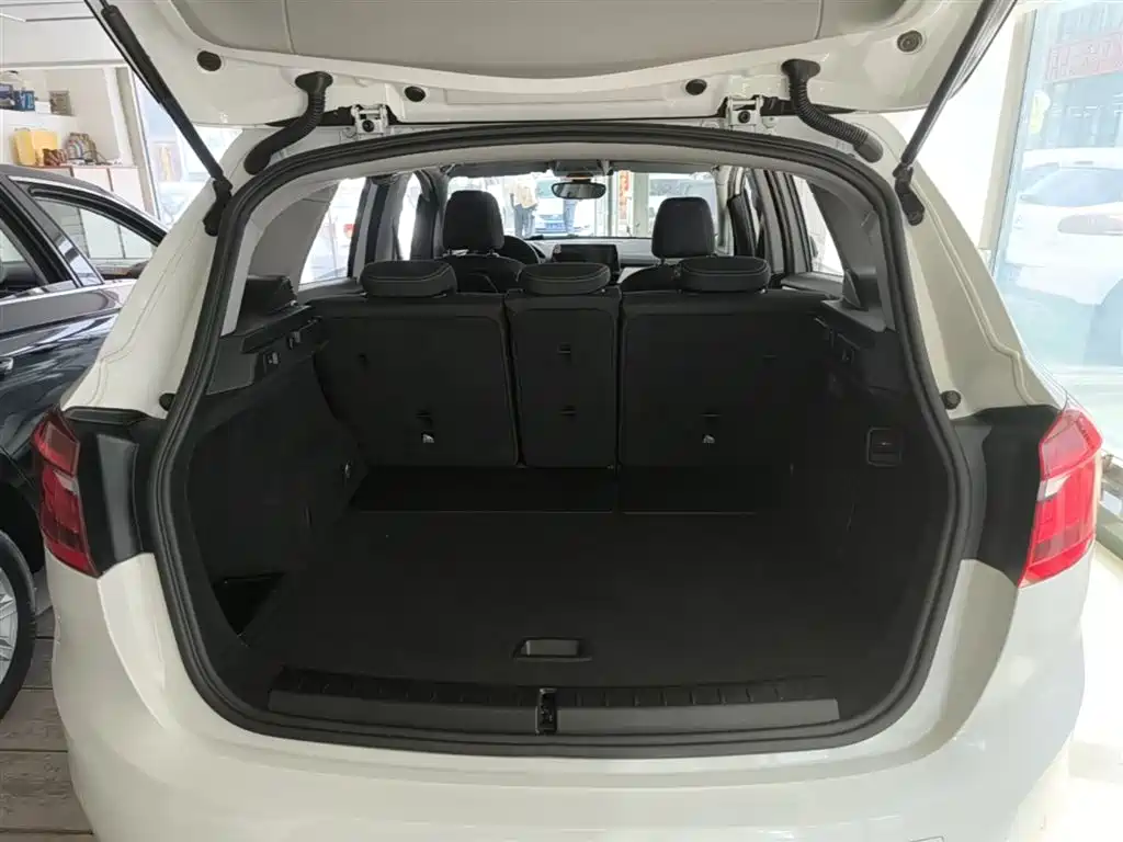 BMW 2 Series Tourer (Import) 2015 218i Leading Type фото 19