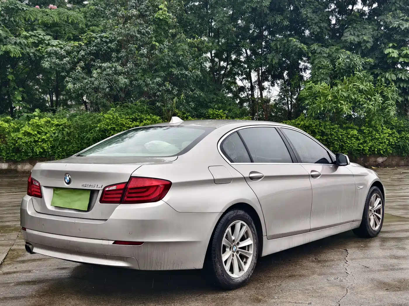 BMW 5 Series 2013 525Li Luxury фото 5