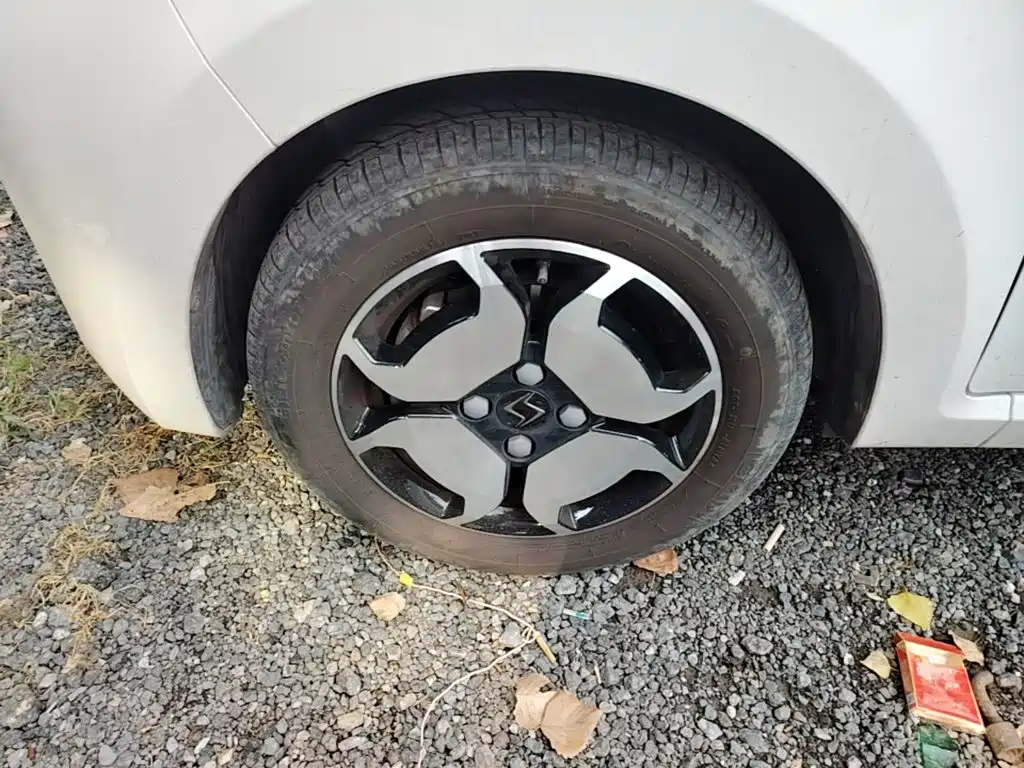 Sehol Flower Fairy 2021 2021 302km Luxury Edition 31.4kWh