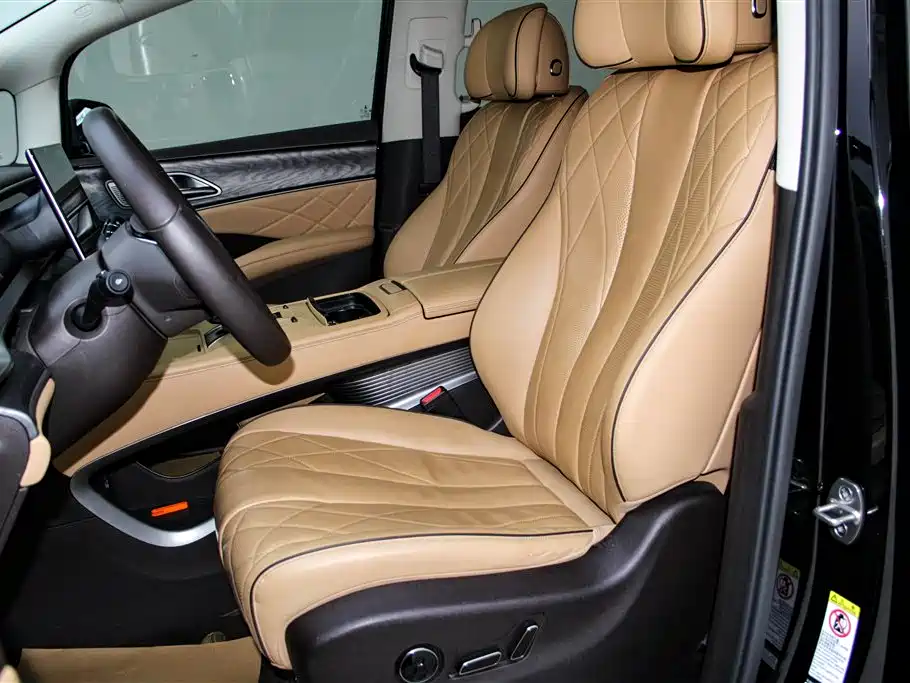 Denza D9 2024 DM-i 980 AWD Premium фото 18