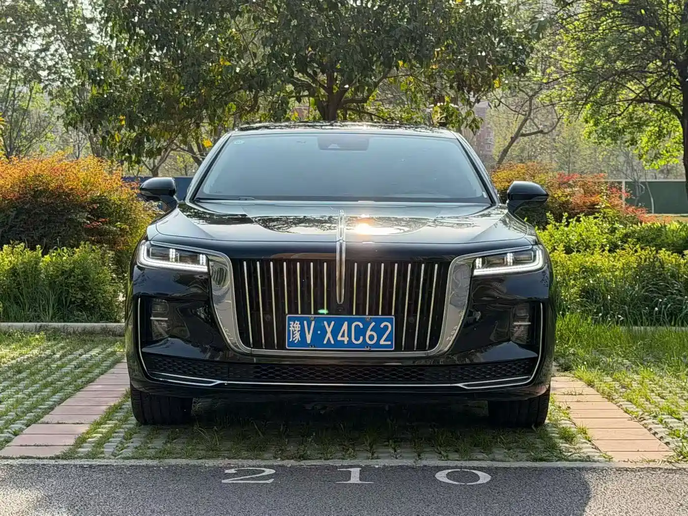 Hongqi HONGQI H9