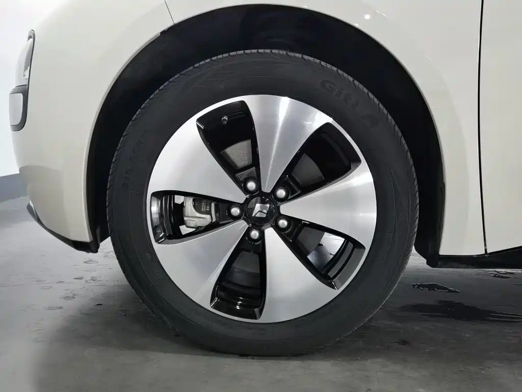 Baojun Cloud 2024 2023 460 Pro