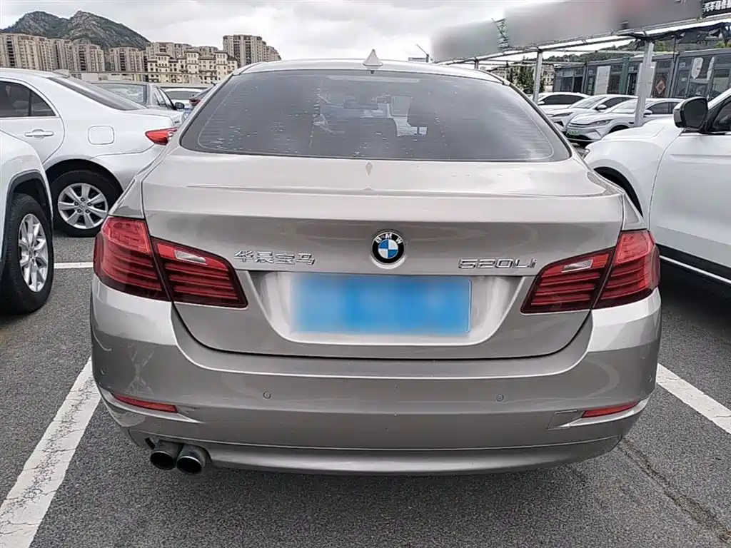 BMW 5 Series 2014 520Li Elegance фото 6