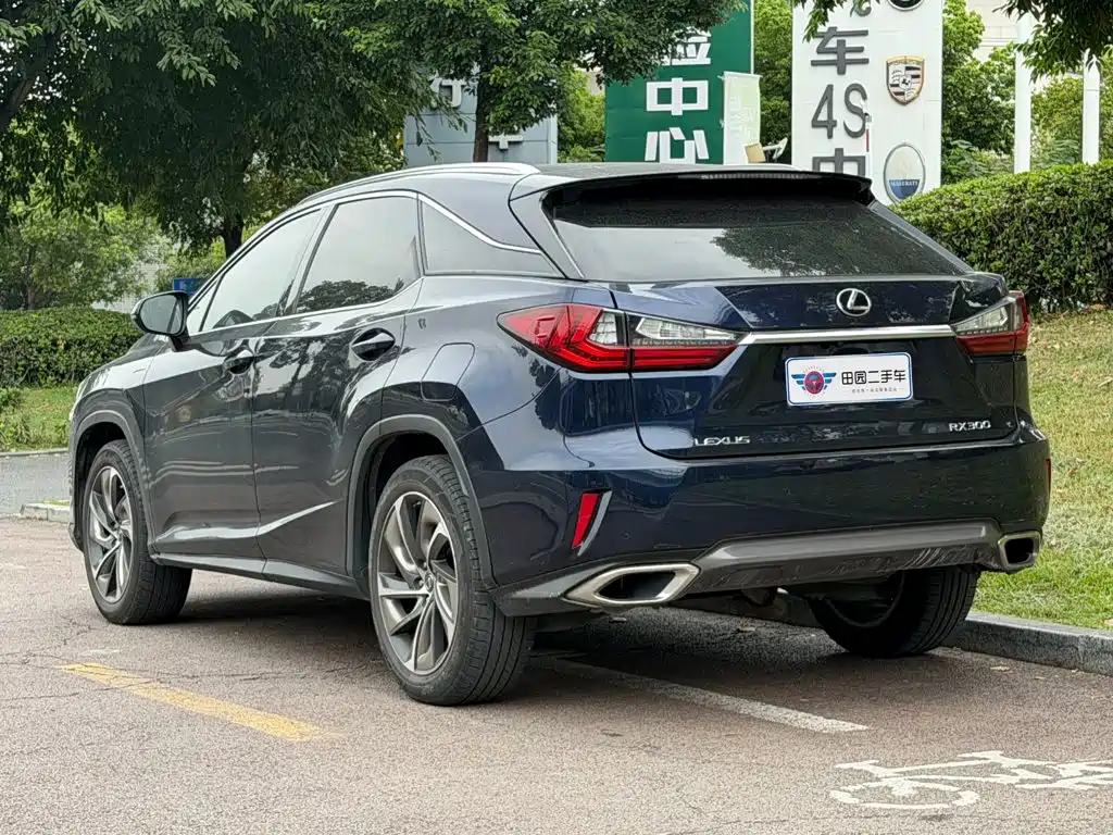 Фото 4 - Lexus RX