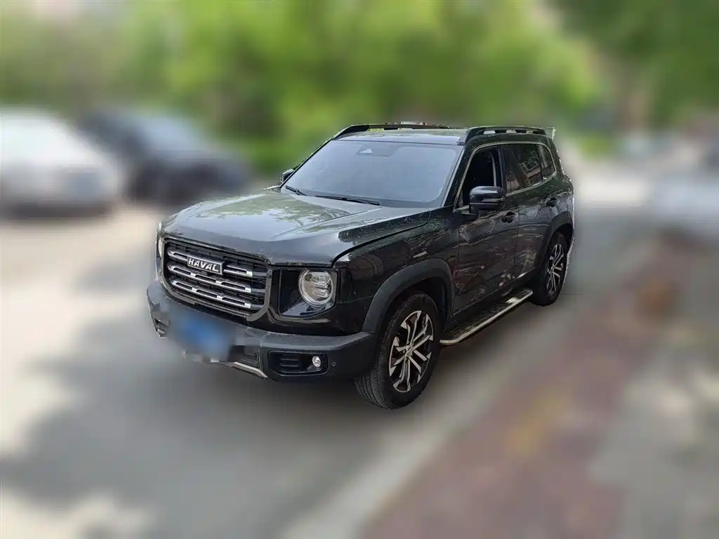 Haval Big Dog 2022 1.5T DCT FWD Border Collie Edition фото 2