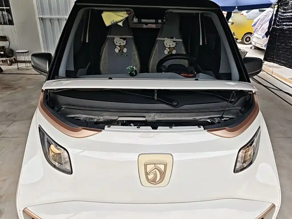 Baojun E200 2020 2020 305KM Smart Edition