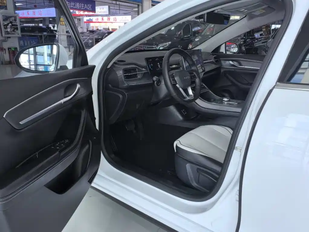 BYD Destroyer 05 2024 2023 Champion Edition DM-i 55KM Luxury