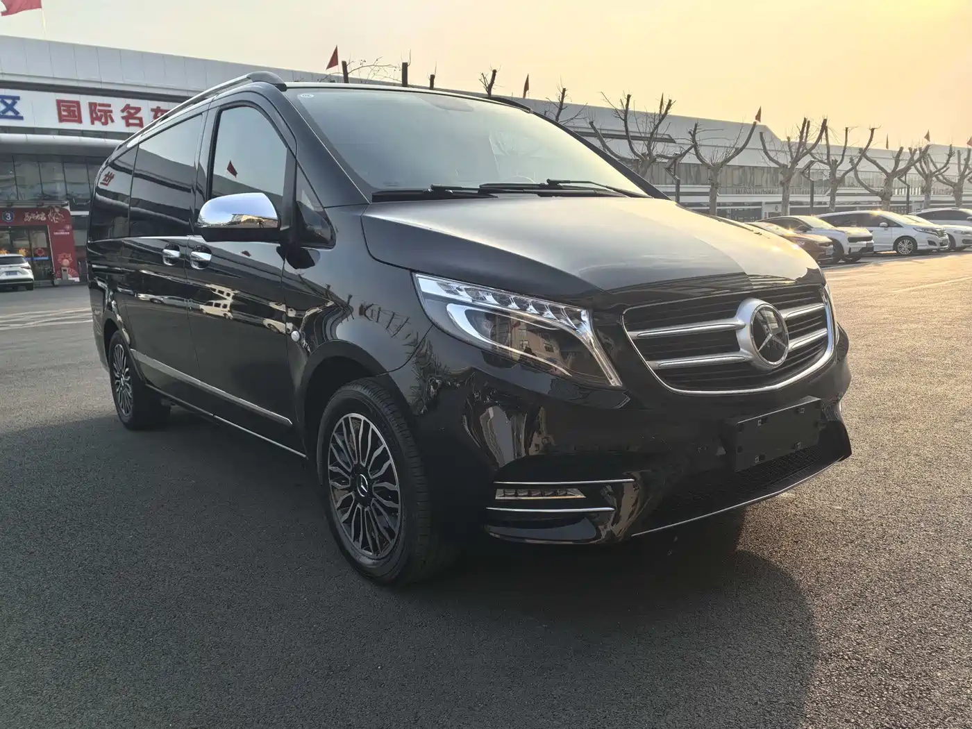 Mercedes-Benz Vito 2018 2.0T Elite Edition 7-seater China VI фото 2
