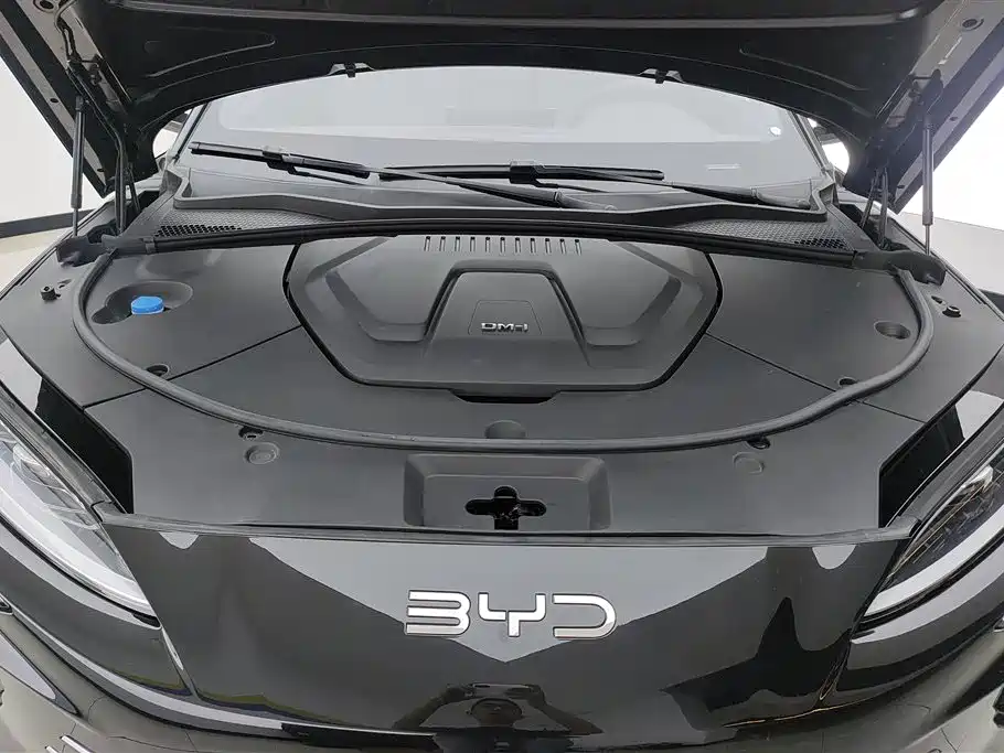 BYD Song PLUS PHEV 2025 DM-i 112KM Honor фото 10