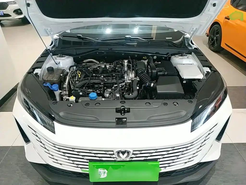 Photo 20 - Changan Eado