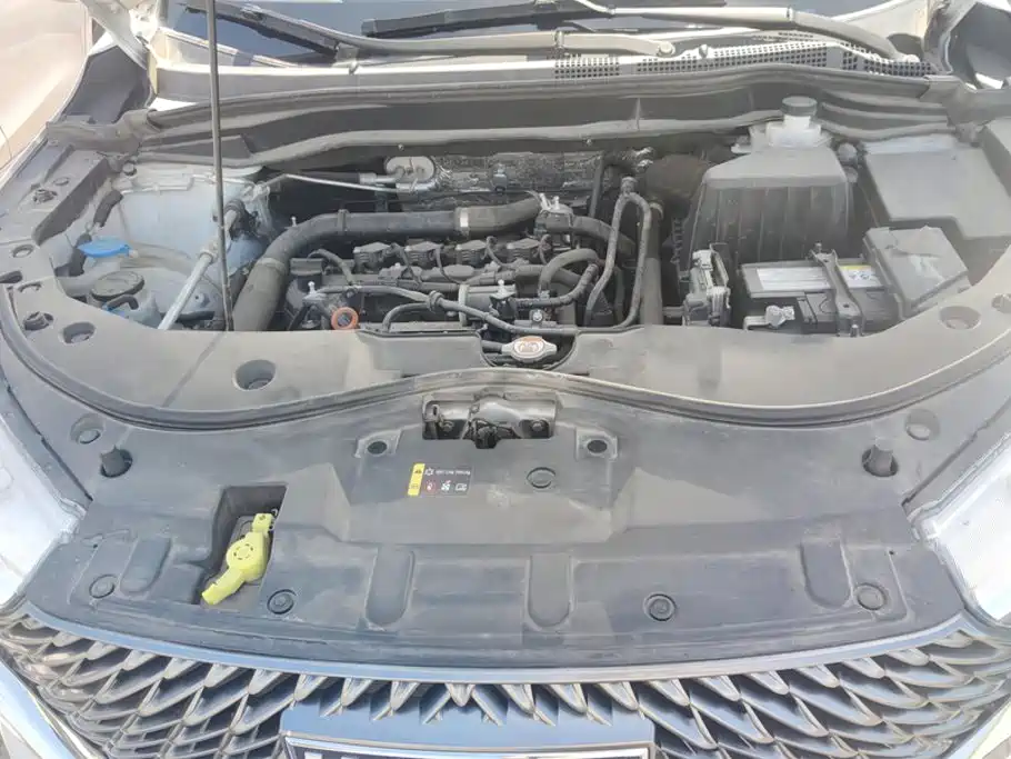 Haval M6 2024 2023 PLUS 1.5T DCT Luxury Smart Connect