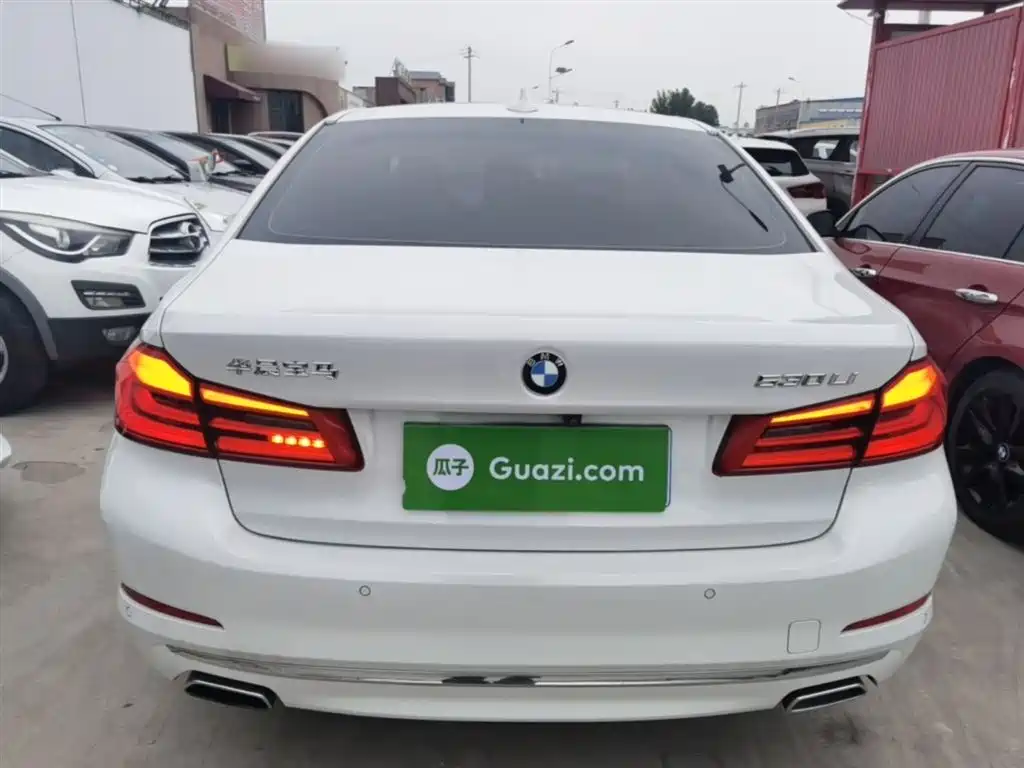 BMW 5 Series 2019 530Li Premium Luxury Package фото 6