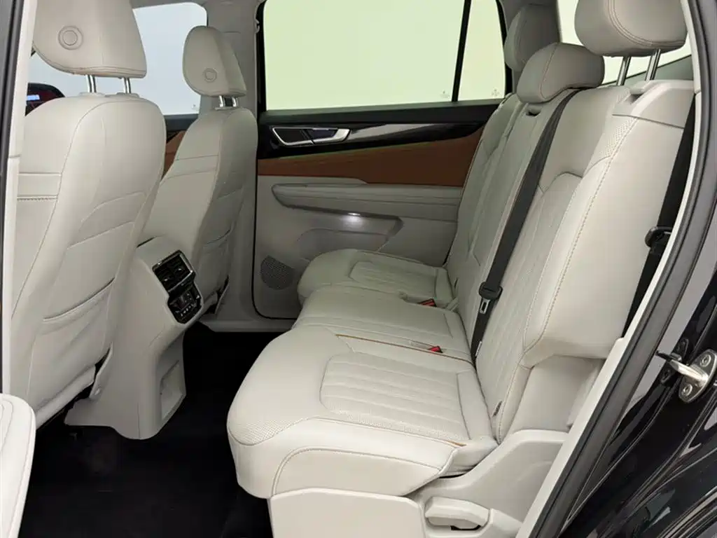 Volkswagen Teramont 2022 380TSI 4MOTION Premium Luxury фото 15