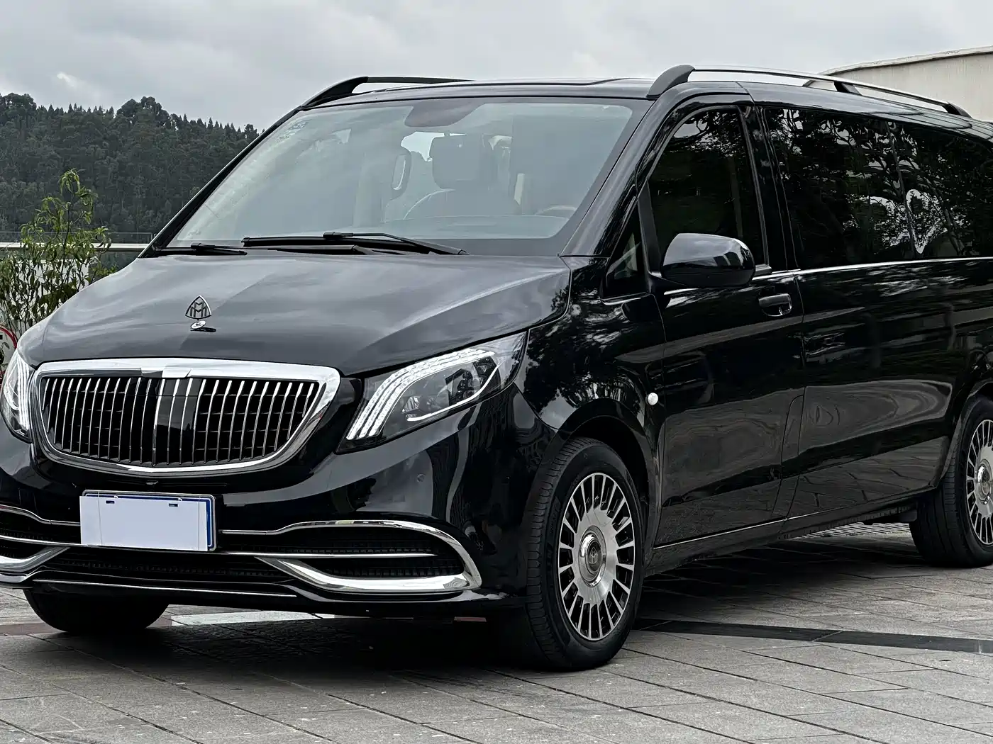 Mercedes-Benz Vito 2018 2.0T Business Edition China VI