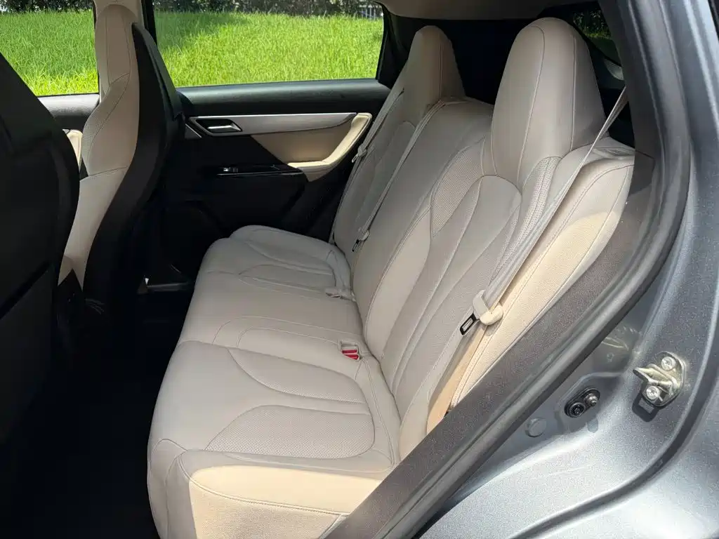 XPeng G3 2019 2020 520 Smart Edition