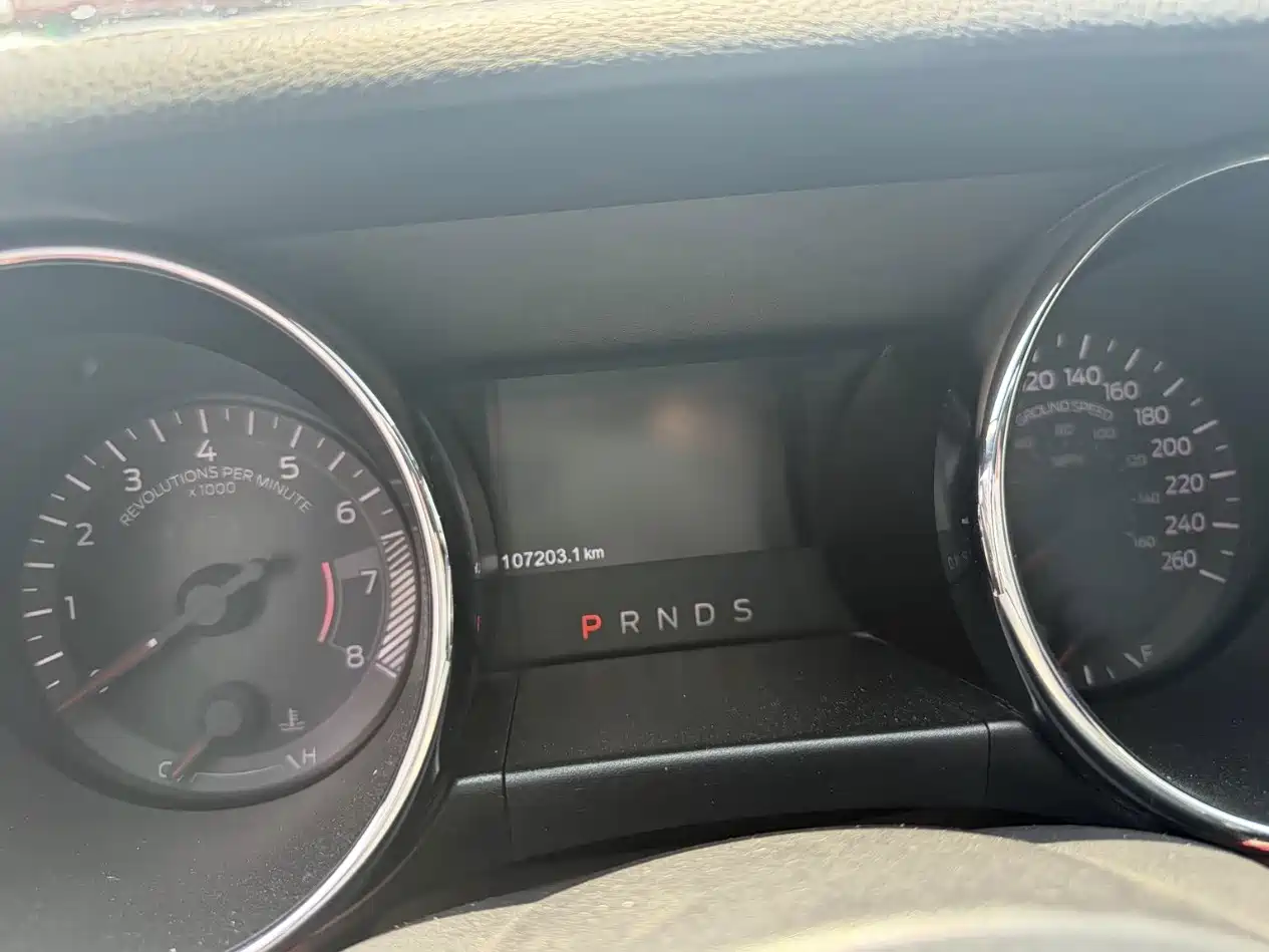 Ford Mustang 2015 2015 2.3T 50th Anniversary Edition