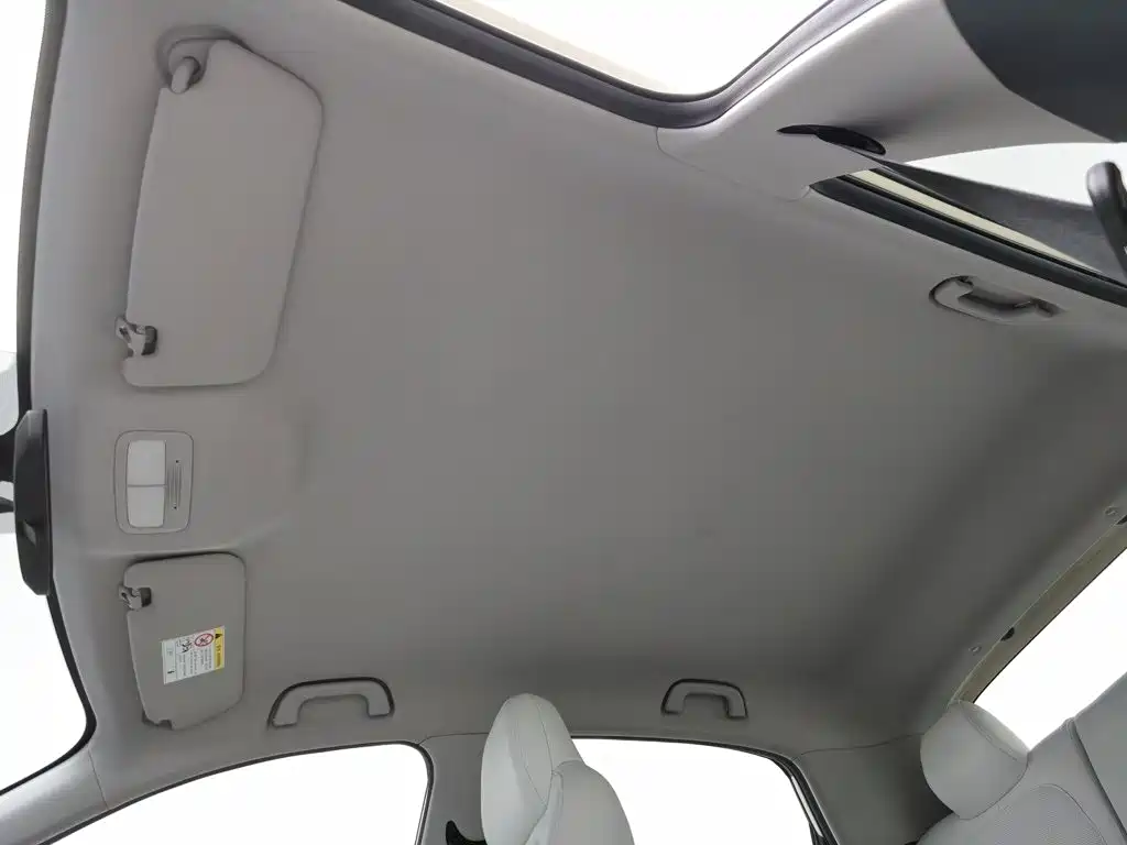 Geely Galaxy Starry Wish 2025 2025 310km Youth Edition