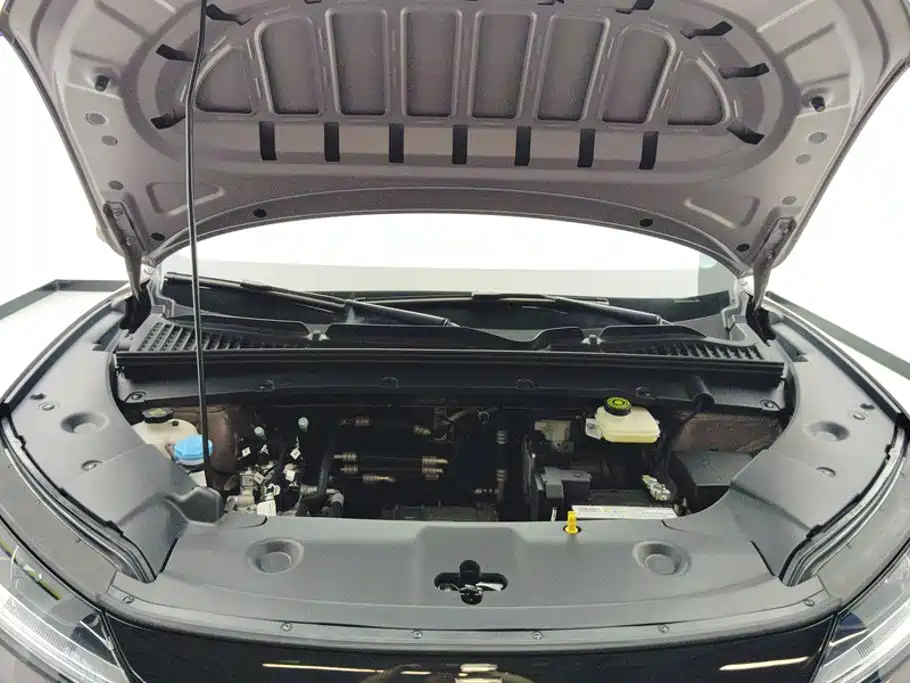 BYD Yuan UP 2024 2024 401KM Surpass Edition