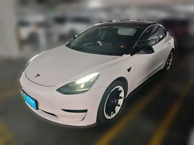 Tesla Model 3 2021 Facelift Standard Range RWD Upgrade 3D1 — фото 1
