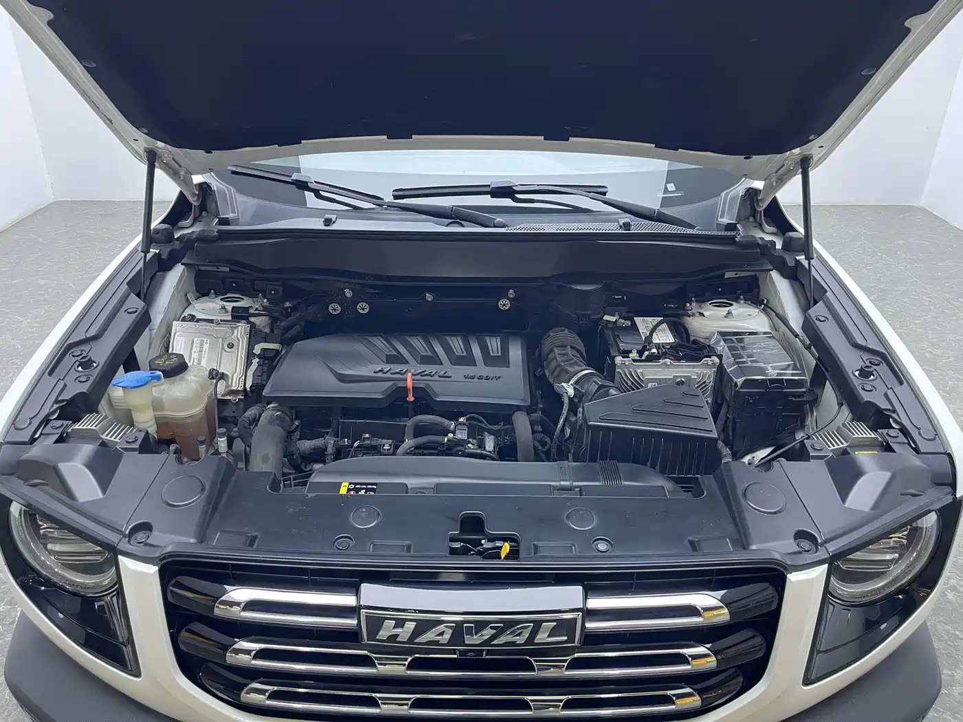 Haval Big Dog 2021 1.5T DCT 2WD Labrador Edition фото 16