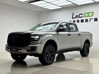 Great Wall Shanhai Poer Hi4-T