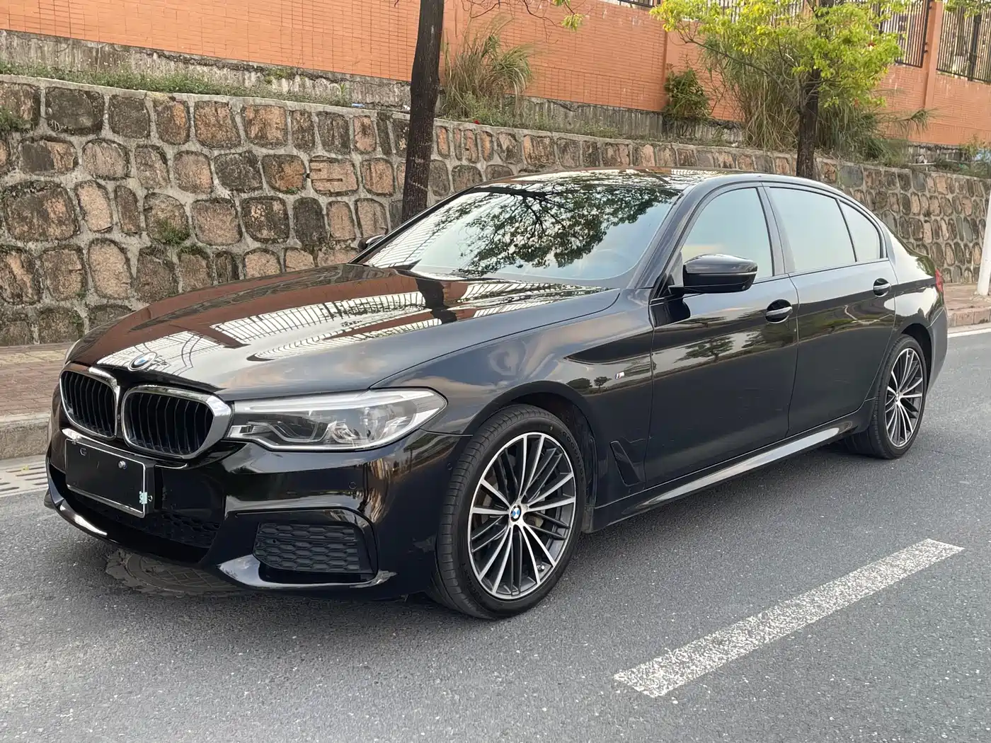 BMW 5 Series 2019 530Li Premium M Sport Package