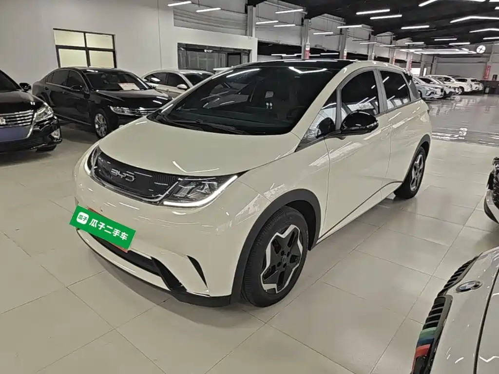 Photo 1 - BYD Dolphin