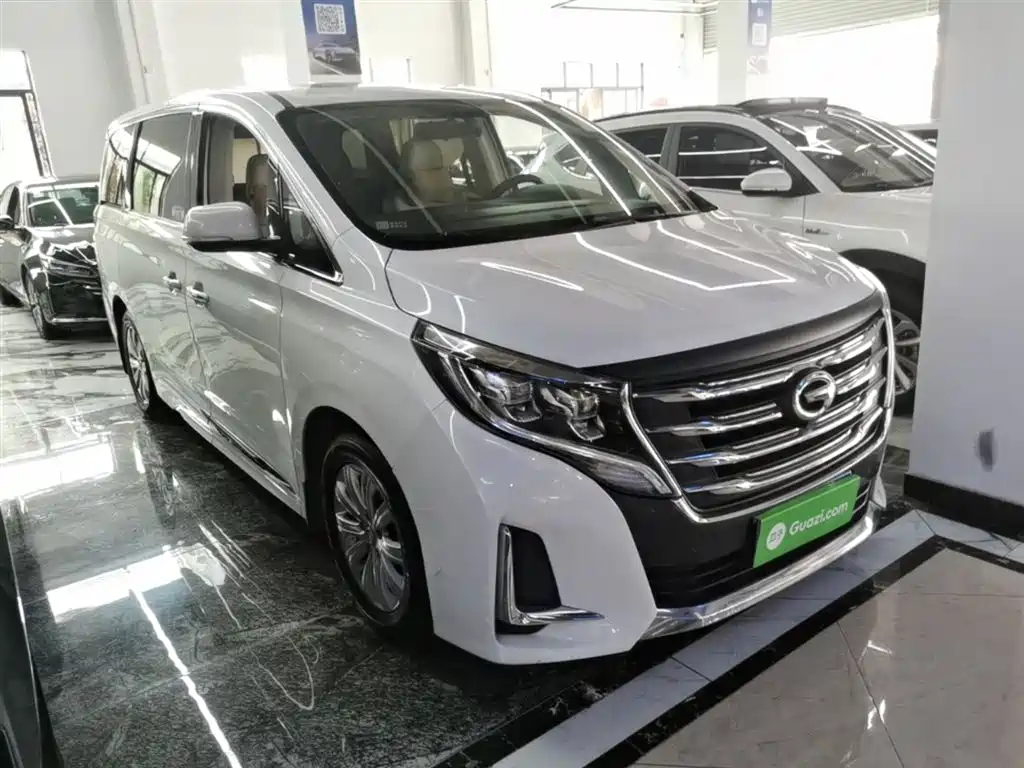 GAC Trumpchi Trumpchi M8 2020 Pilot 390T Luxury Edition фото 4