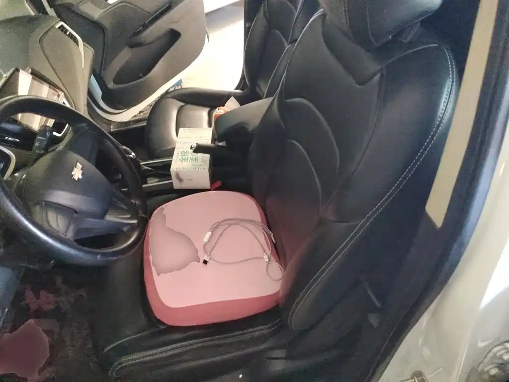 Chevrolet Cavalier 2018 320 Auto Enjoy Sunroof Edition фото 8